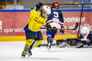 Klik for at se eller bestil foto