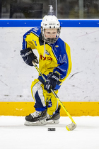 Klik for at se eller bestil foto