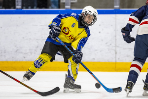 Klik for at se eller bestil foto