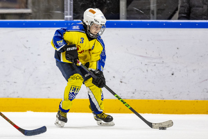 Klik for at se eller bestil foto