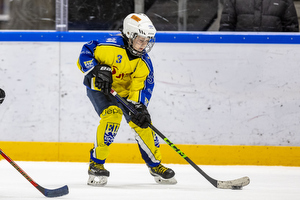 Klik for at se eller bestil foto