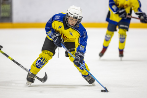 Klik for at se eller bestil foto