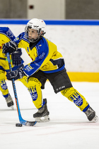 Klik for at se eller bestil foto