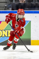 Klik for at se eller bestil foto