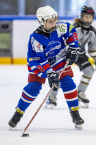 Klik for at se eller bestil foto