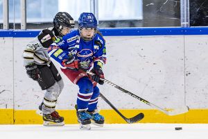 Klik for at se eller bestil foto