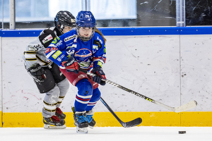 Klik for at se eller bestil foto