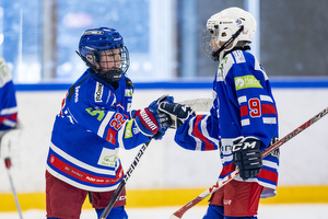 Klik for at se eller bestil foto