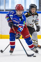 Klik for at se eller bestil foto