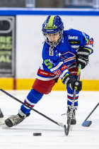 Klik for at se eller bestil foto