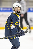 Klik for at se eller bestil foto