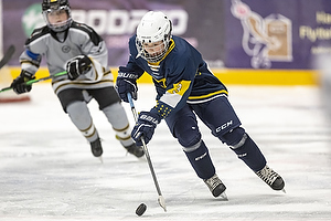 Klik for at se eller bestil foto