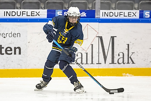 Klik for at se eller bestil foto