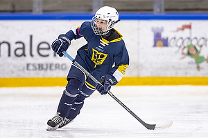 Klik for at se eller bestil foto