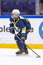 Klik for at se eller bestil foto