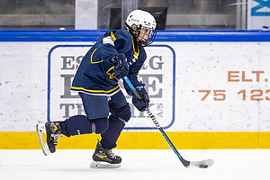 Klik for at se eller bestil foto