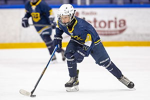 Klik for at se eller bestil foto