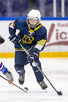 Klik for at se eller bestil foto