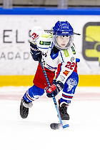 Klik for at se eller bestil foto