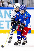 Klik for at se eller bestil foto