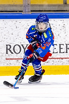 Klik for at se eller bestil foto