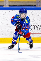 Klik for at se eller bestil foto