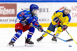 Klik for at se eller bestil foto