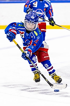 Klik for at se eller bestil foto
