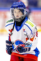 Klik for at se eller bestil foto