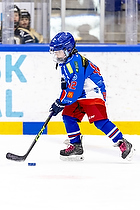 Klik for at se eller bestil foto
