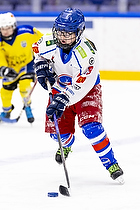 Klik for at se eller bestil foto