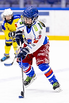 Klik for at se eller bestil foto