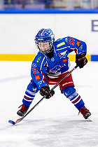 Klik for at se eller bestil foto