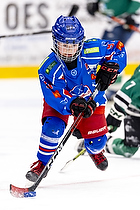 Klik for at se eller bestil foto