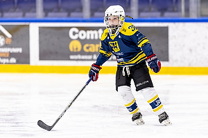 Klik for at se eller bestil foto