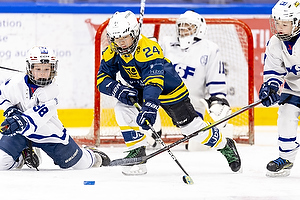 Klik for at se eller bestil foto