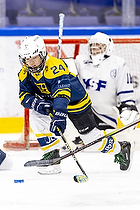 Klik for at se eller bestil foto