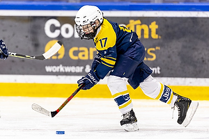 Klik for at se eller bestil foto