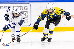 Klik for at se eller bestil foto