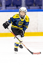 Klik for at se eller bestil foto