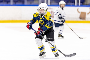 Klik for at se eller bestil foto