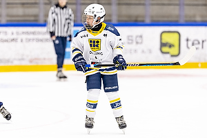 Klik for at se eller bestil foto