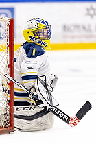 Klik for at se eller bestil foto