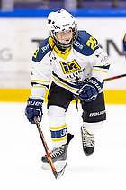 Klik for at se eller bestil foto