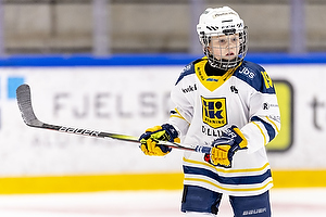 Klik for at se eller bestil foto