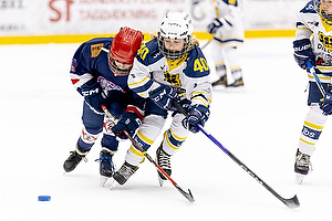 Klik for at se eller bestil foto