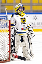 Klik for at se eller bestil foto