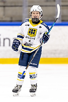 Klik for at se eller bestil foto