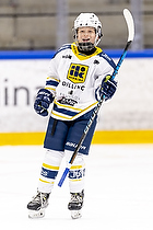 Klik for at se eller bestil foto