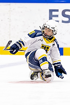 Klik for at se eller bestil foto